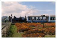 Sikkim-Darjeeling Package Tour